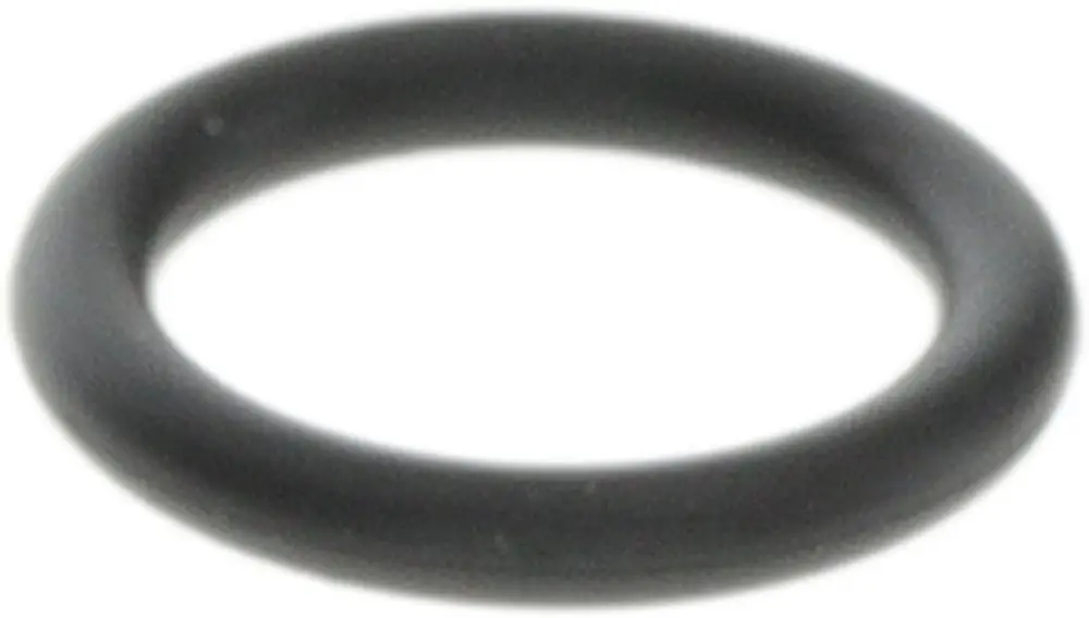 Schwarzer O-Ring von Bosch, kreisförmig und aus flexibler Gummi-ähnlicher Substanz, geeignet für Dichtungsanwendungen.